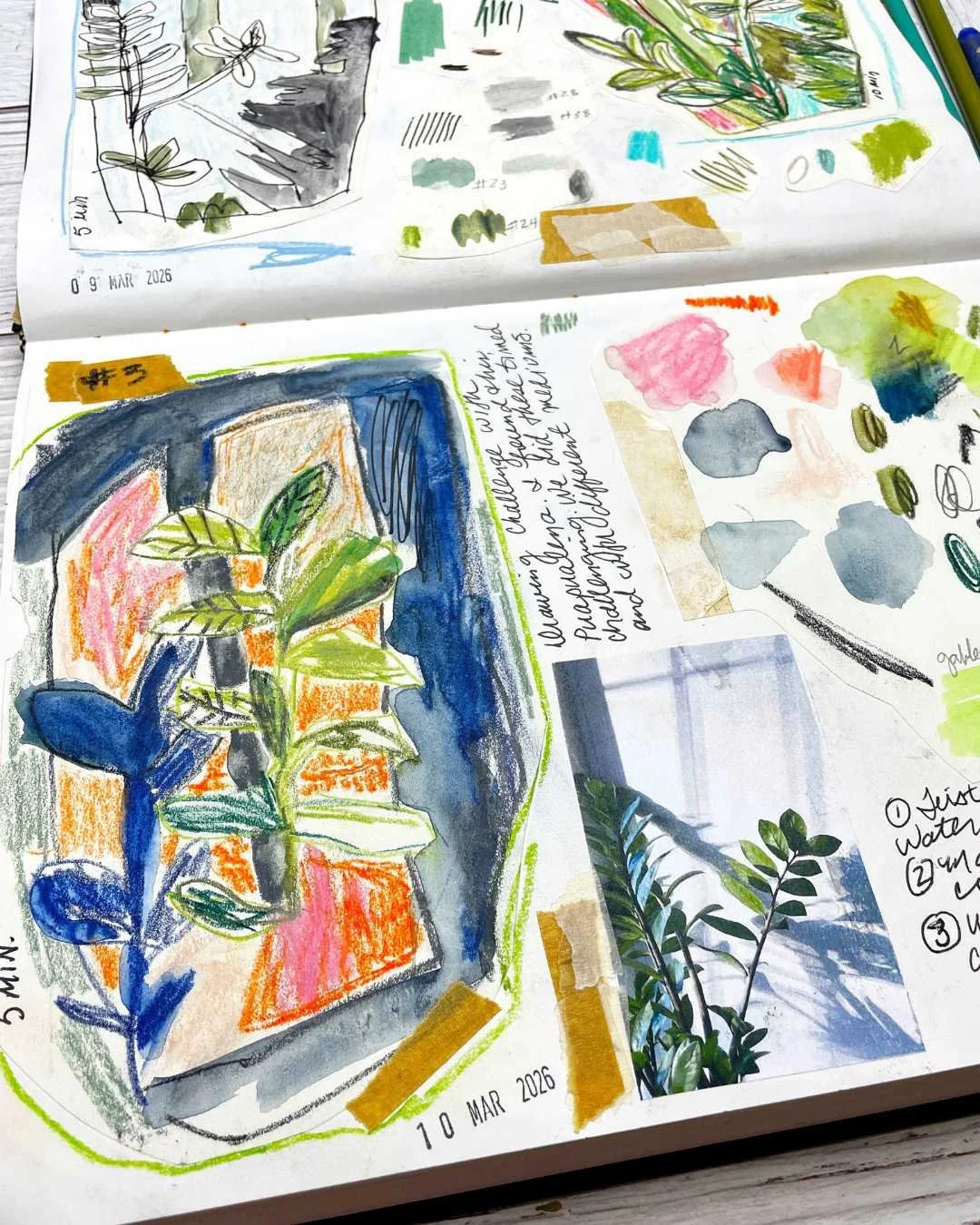 Mixed Media Plant Study With Window View And Color Tests