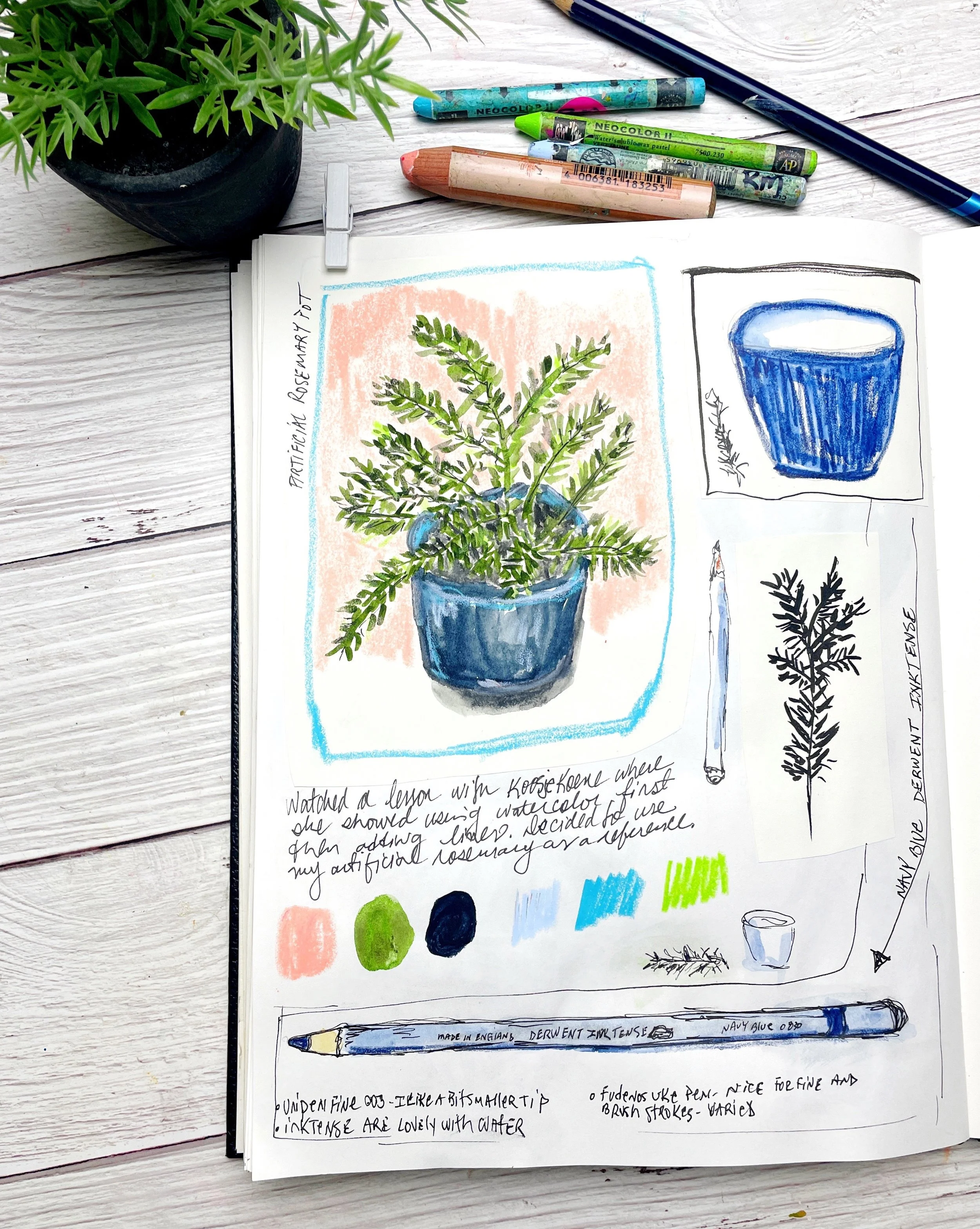 Potted Plant Sketch with Watercolor and Neocolor Crayon
