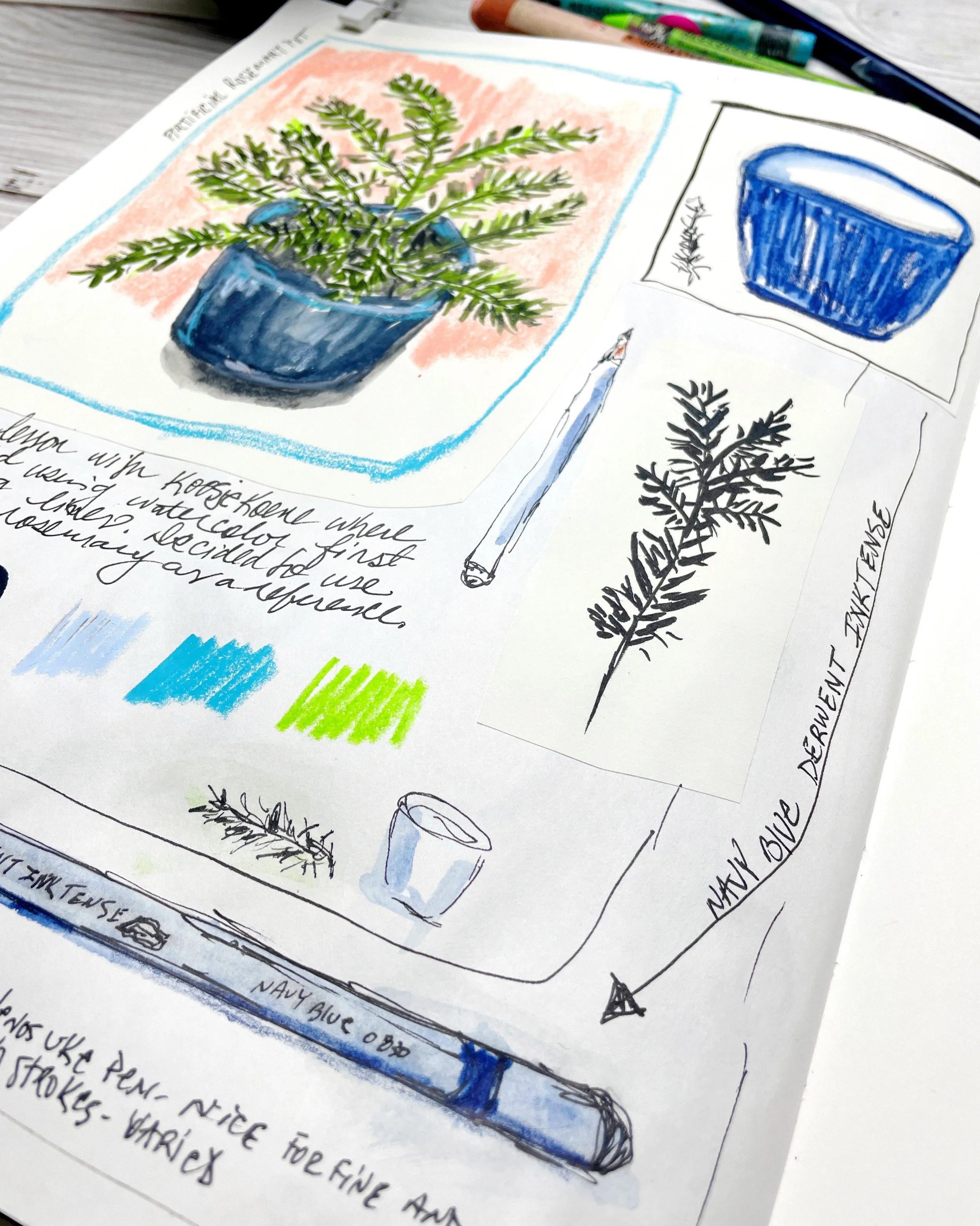 Ink and Pencil Botanical Study with Blue Pot Sketch