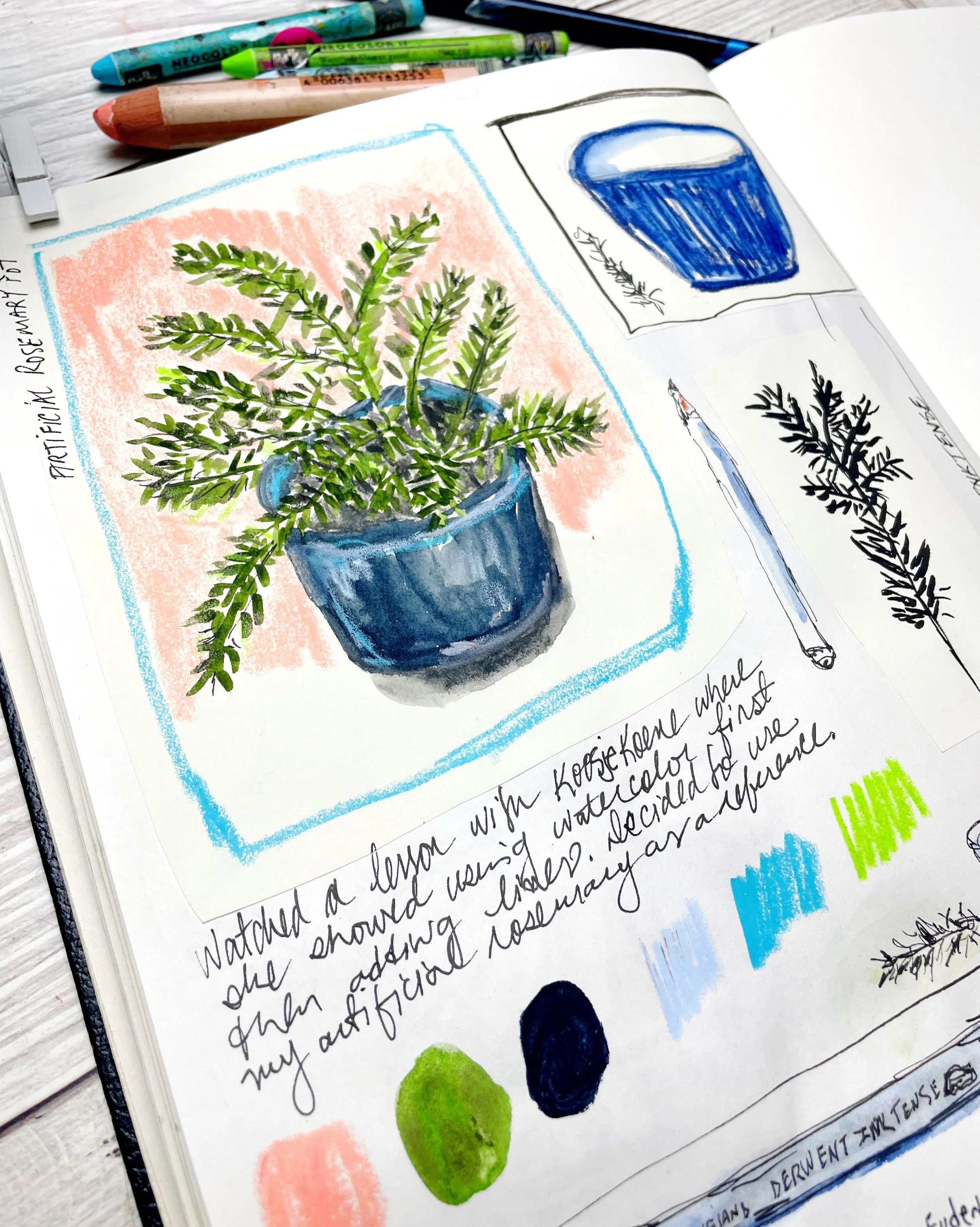 Mixed Media Sketchbook Page with Plant Study and Color Tests