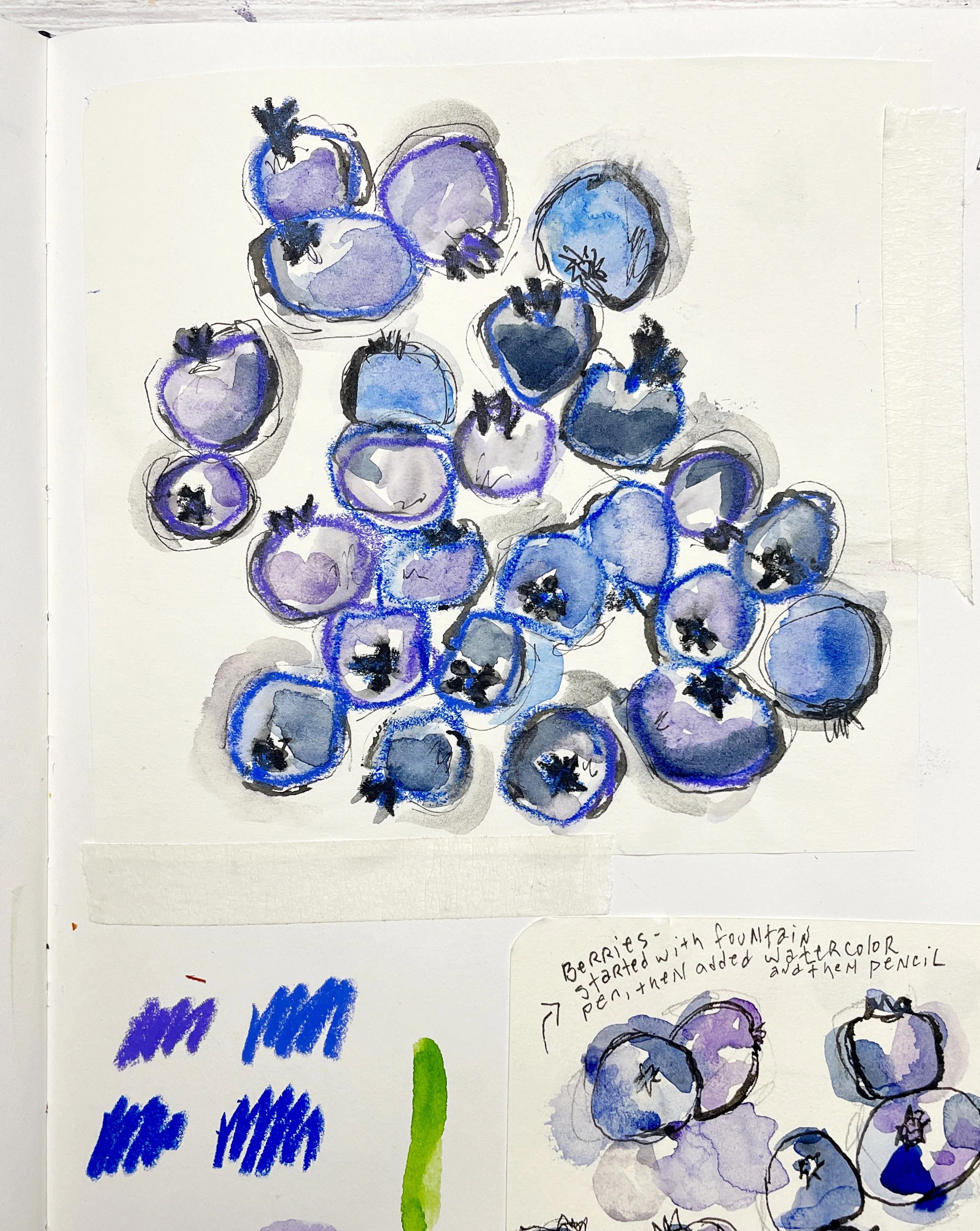 Blueberry Sketch Studies with Watercolor and Ink Layers