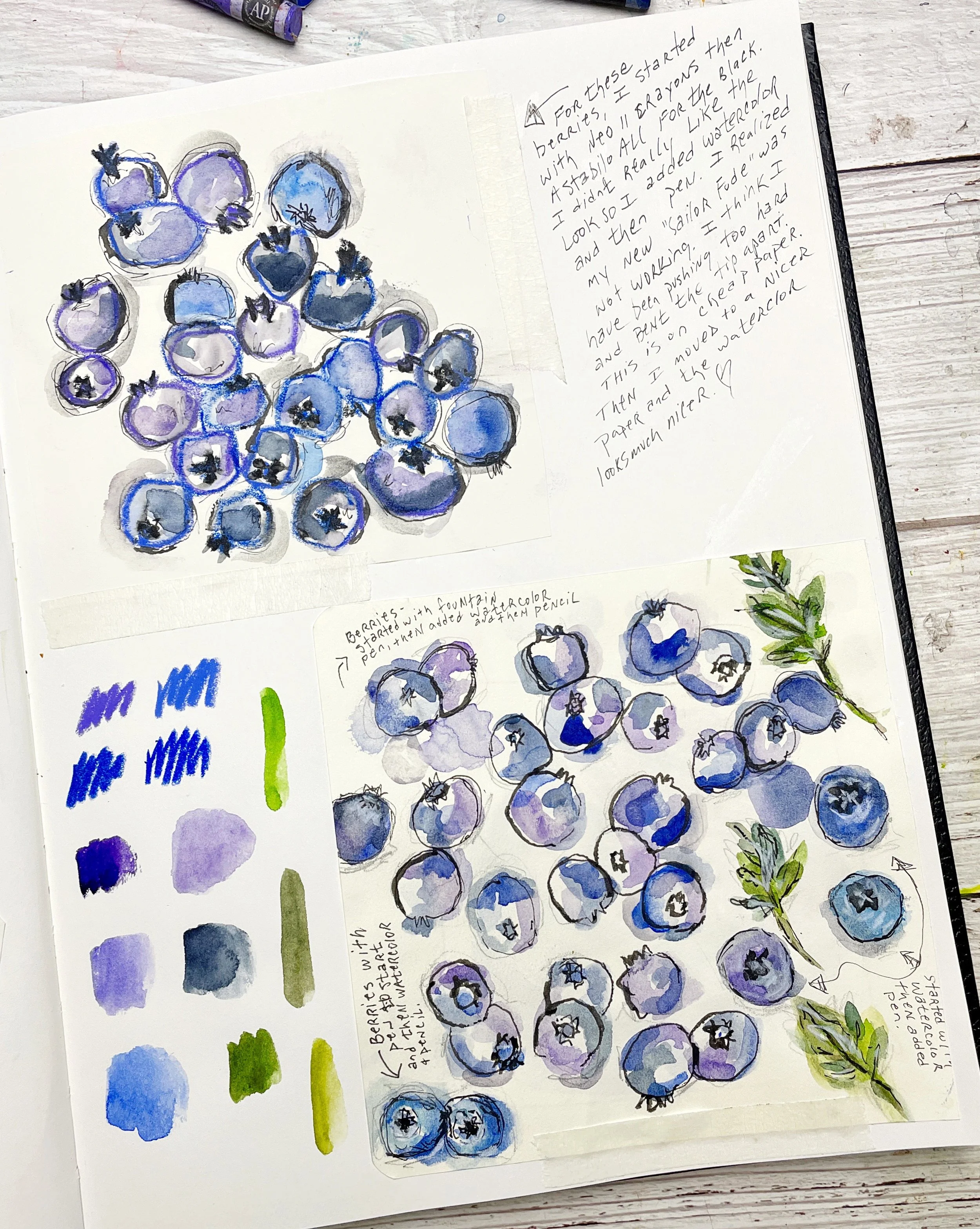 Watercolor Berry Studies with Color Swatches and Sketchbook Notes