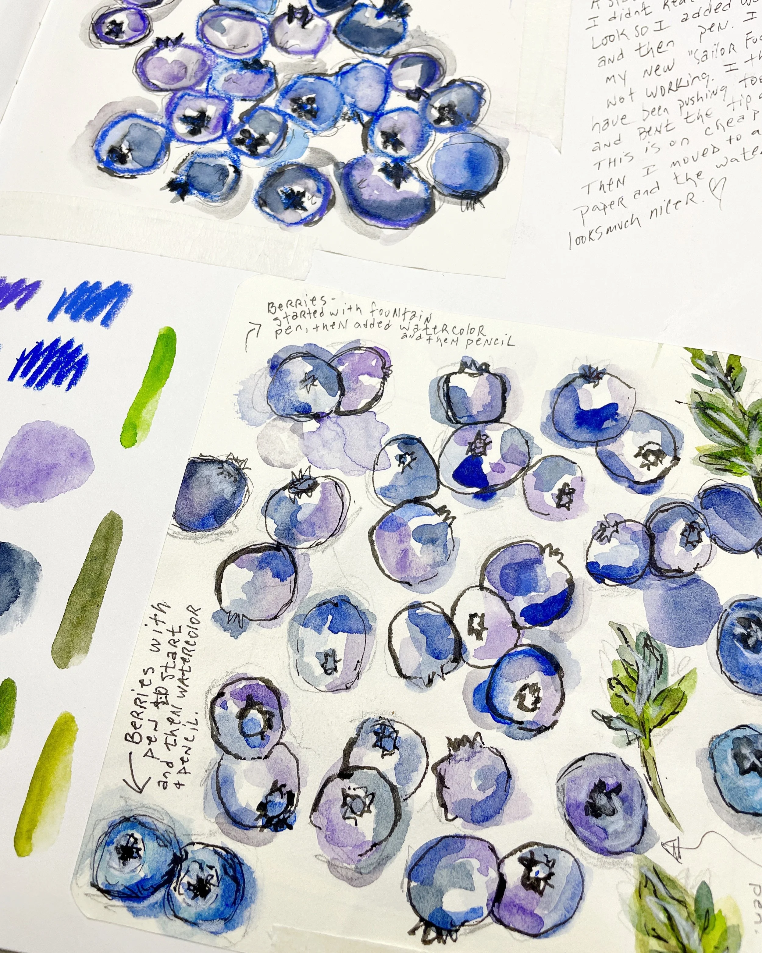 Mixed Media Blueberry Practice with Ink, Watercolor, and Pencil
