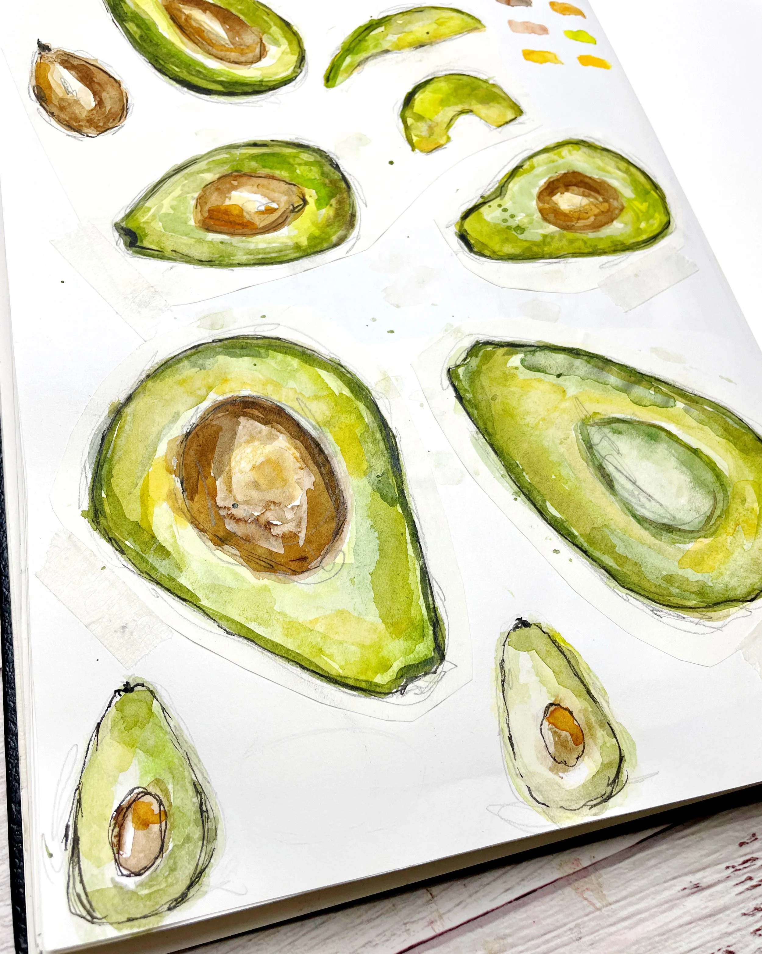 Avocado Watercolor Studies with Ink Sketchbook Practice