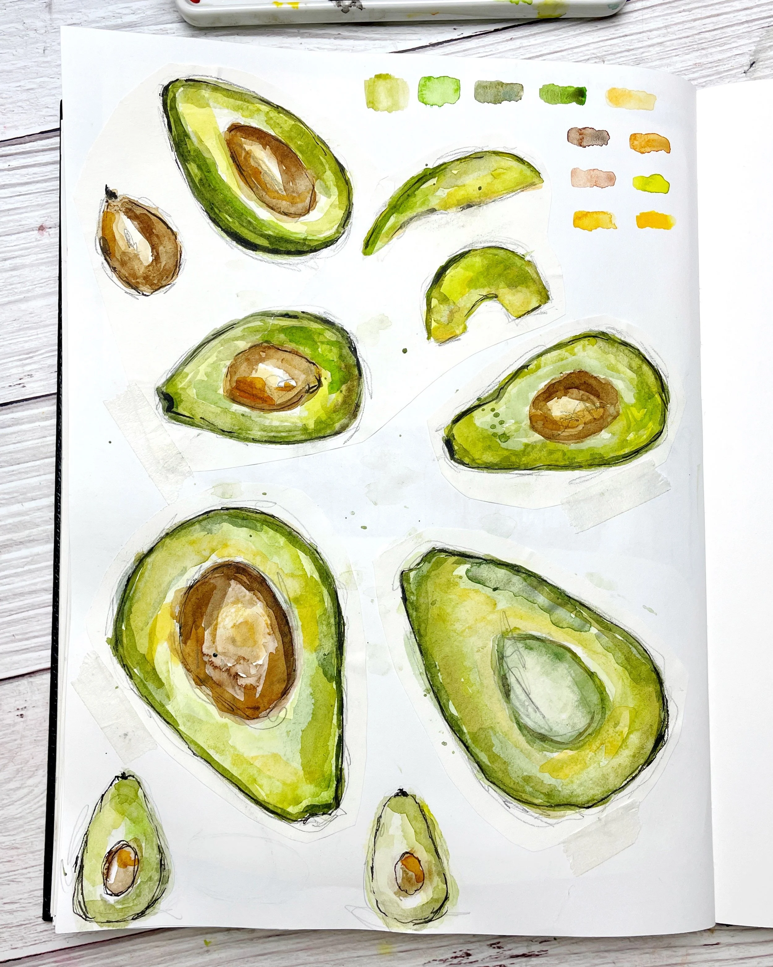 Avocado Watercolor Studies with Ink Sketchbook Practice