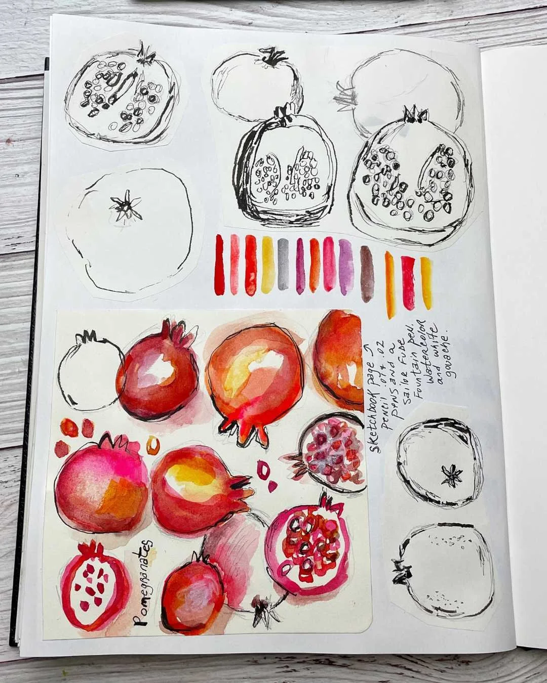 Pomegranate Sketch Studies with Ink and Color Swatches