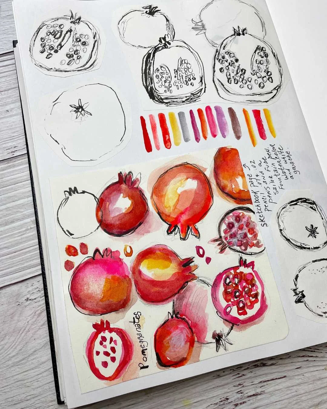 Watercolor Pomegranate Studies with Seeds and Color Tests