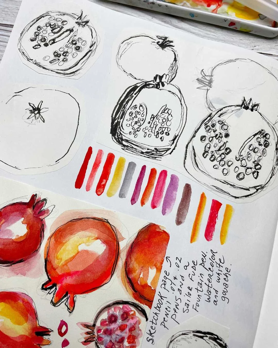 Sketchbook Page of Pomegranates in Ink and Watercolor