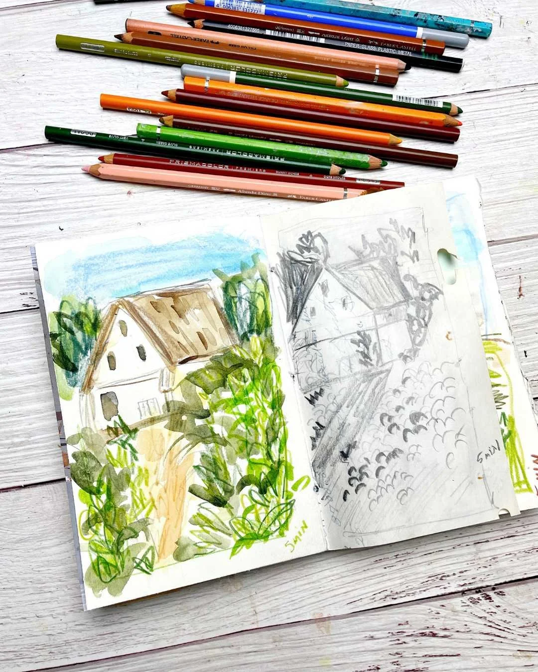 Watercolor House Sketch in Lush Green Garden
