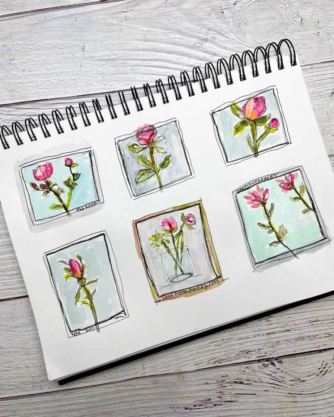 Loose Floral Sketchbook Studies with Ink and Watercolor