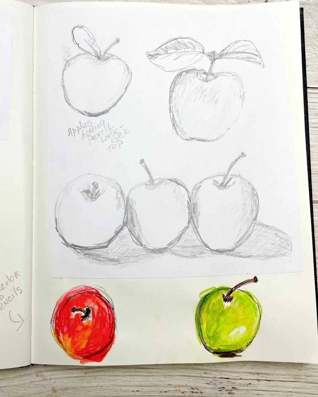 Apple Sketch Studies with Pencil and Watercolor