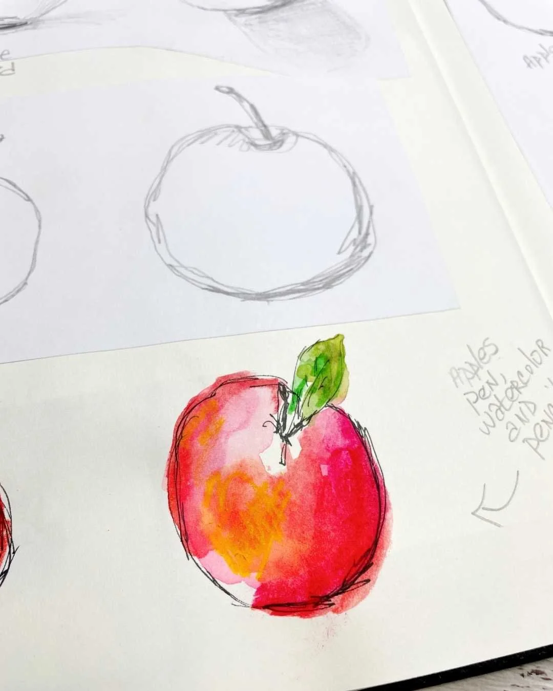Sketchbook Fruit Studies with Line Weight and Color