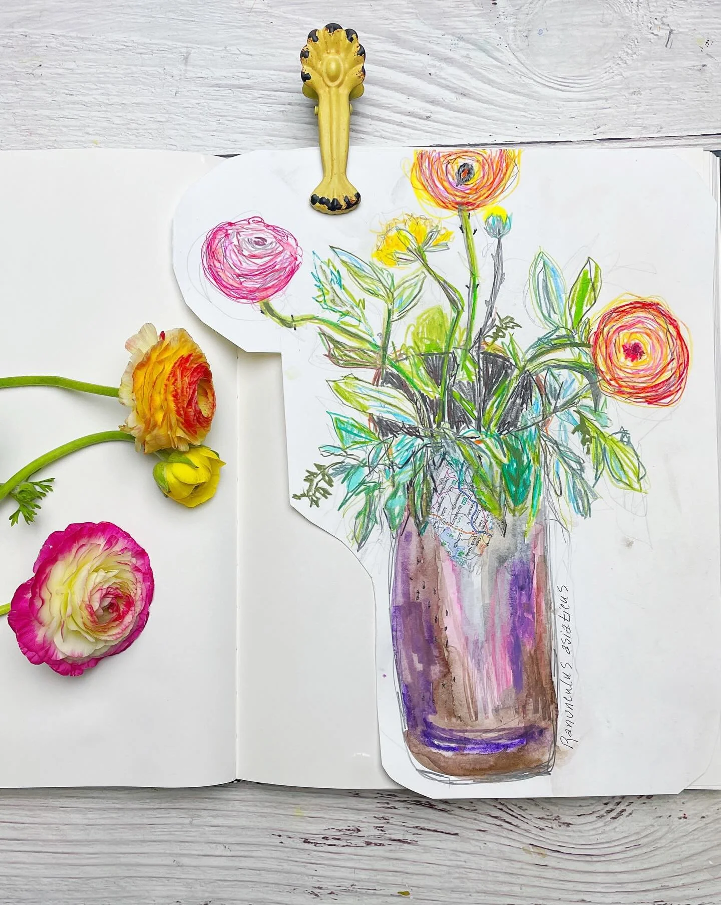 Sketching Ranunculus flowers - Day 68 🌸 I added a small piece of a map to the front of the pot. I think the scrap adds a small bit of whimsy. 

100 Days of Creative Drifting: a Sketching Practice #dothe100dayproject #sketchbook #sketching