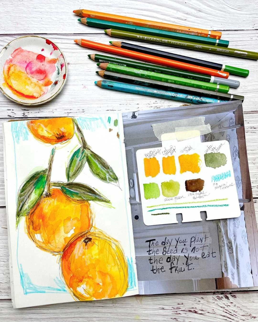 Citrus Sketchbook Study with Oranges and Color Swatches