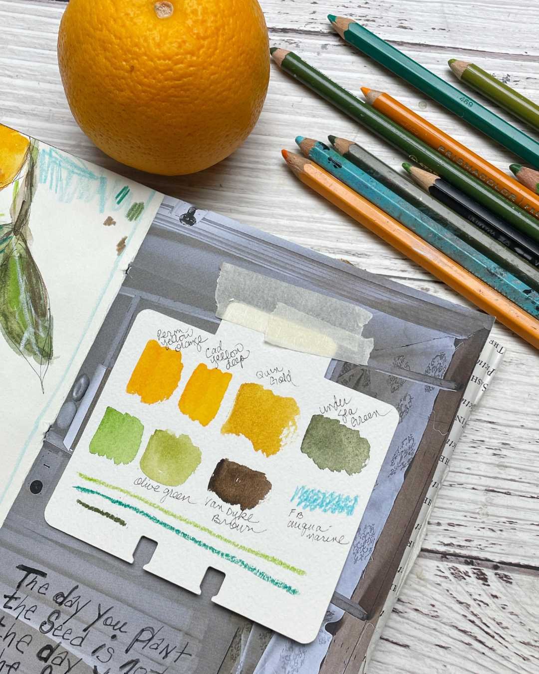 Sketchbook Color Palette Inspired by Fresh Citrus Fruit