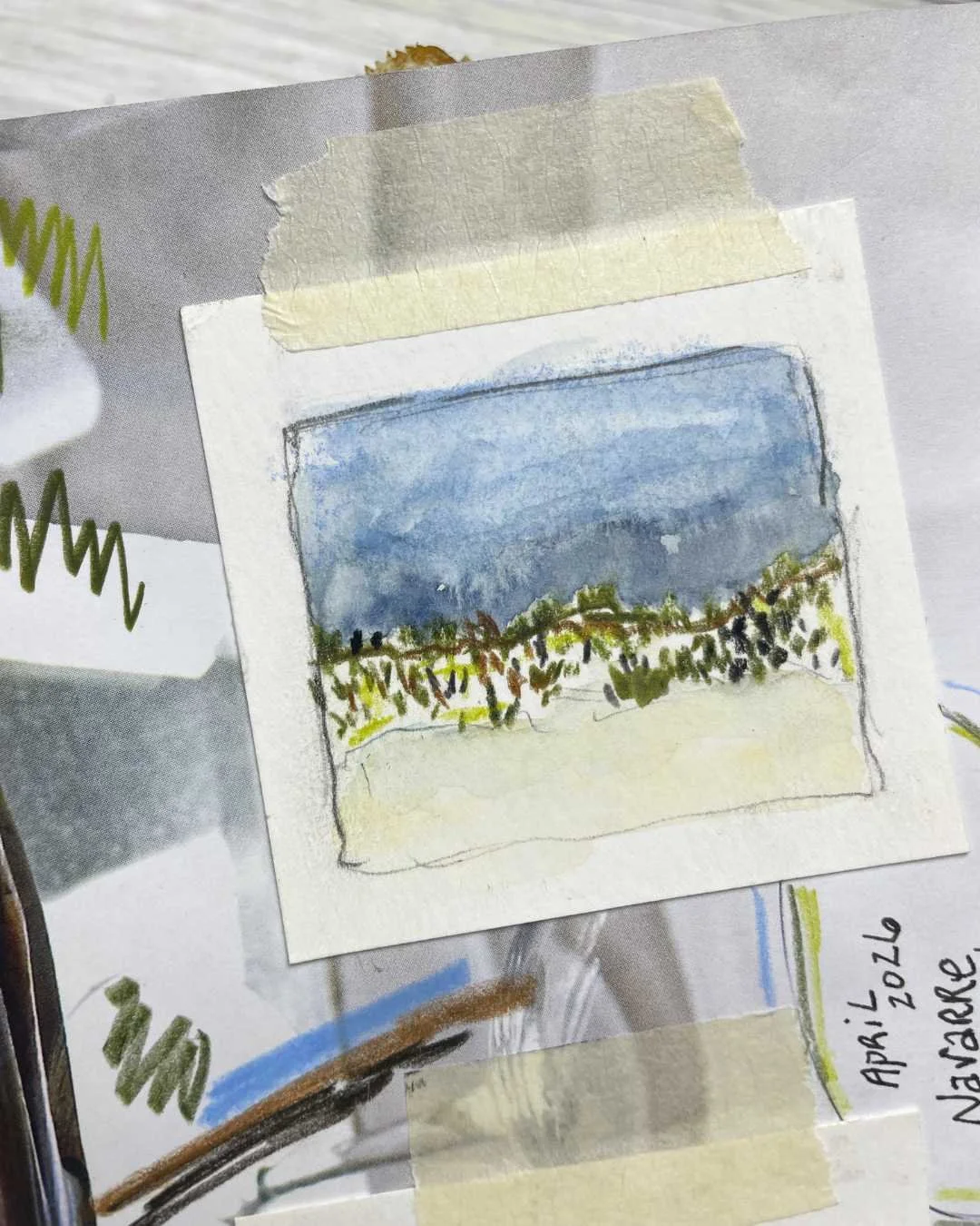 Mini Nature Studies and Sketchbook Experiments on Taped Paper