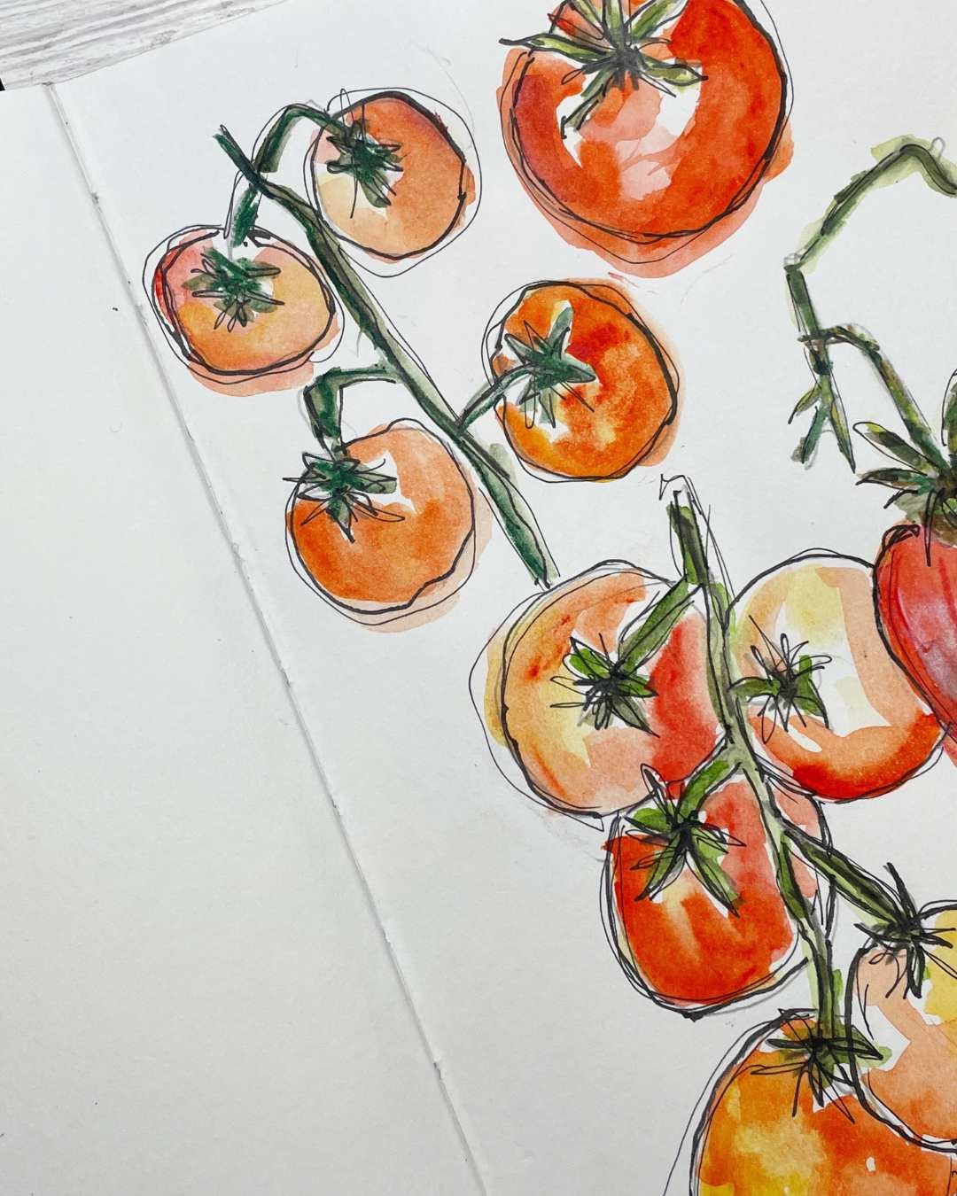 Vine-Ripened Tomato Sketches in Warm Summer Garden Colors