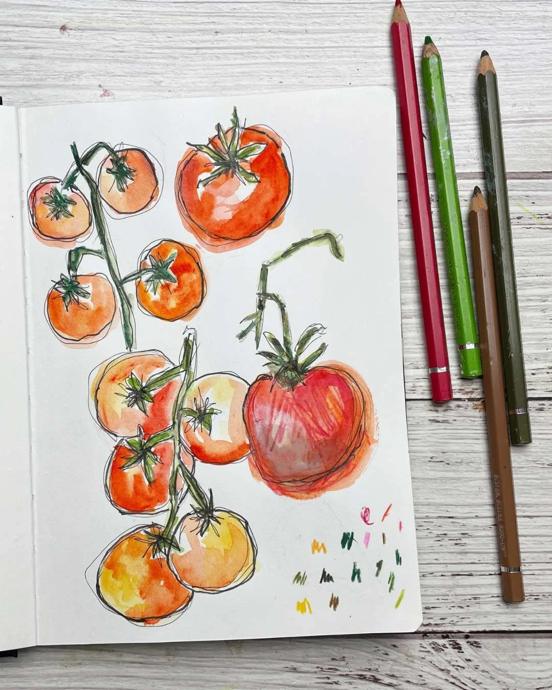 Cherry Tomato Sketchbook Study with Watercolor and Expressive Ink Lines
