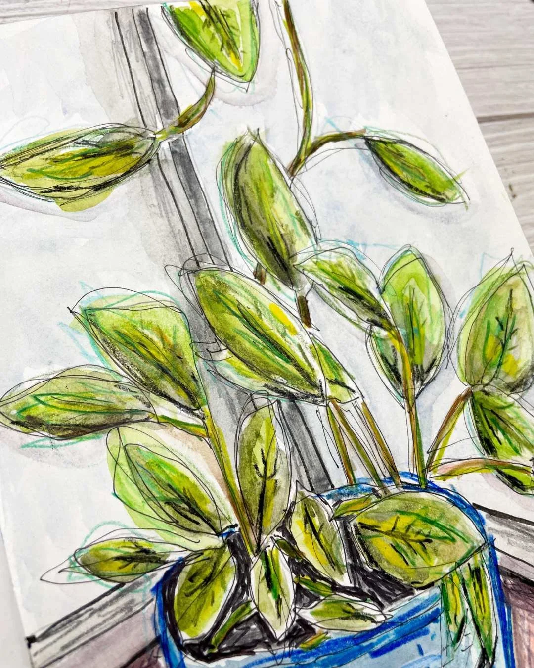 Window Light Plant Study with Variegated Leaves and Blue Pot
