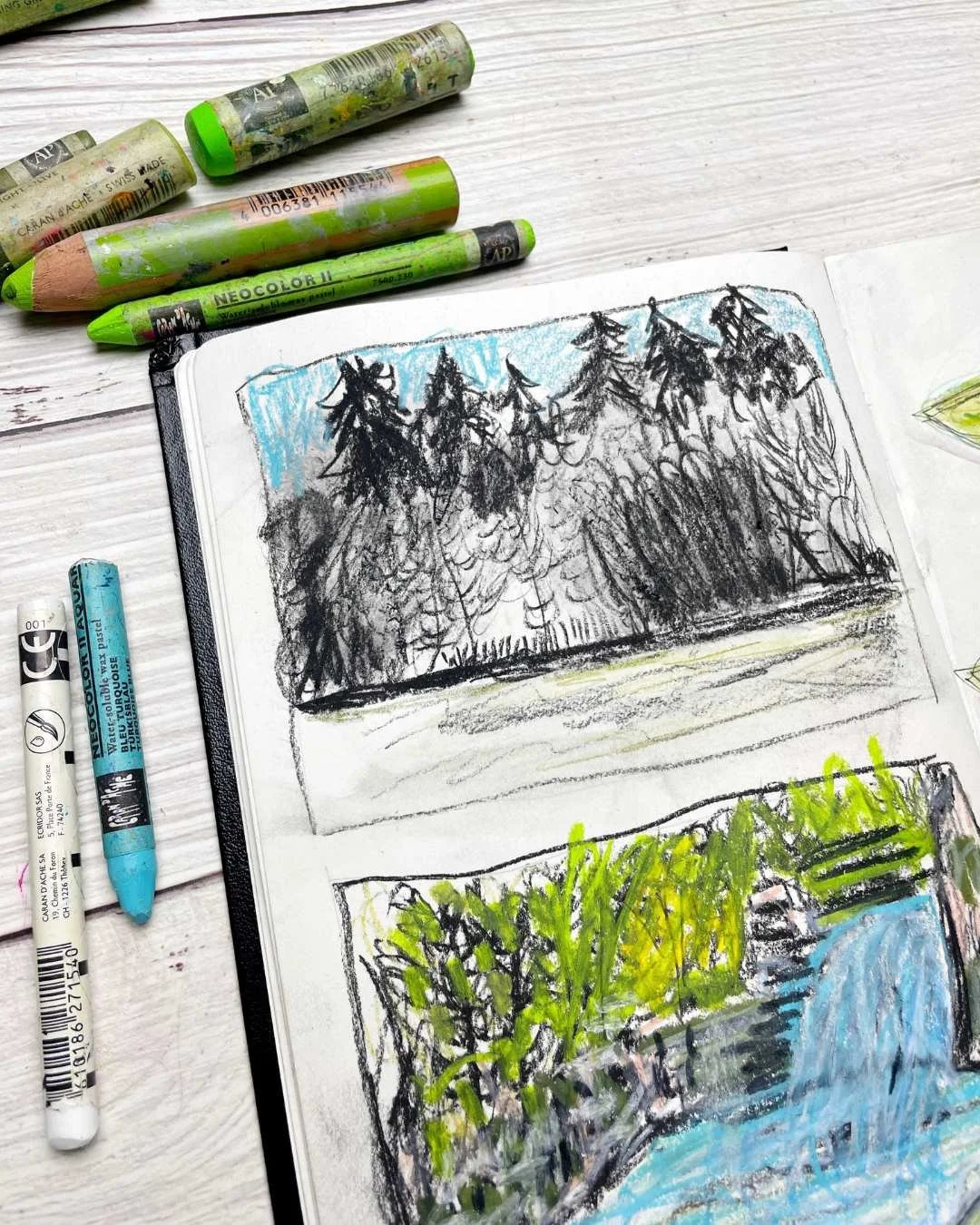 Forest Edge Sketchbook Study with Charcoal Trees and Soft Blue Sky