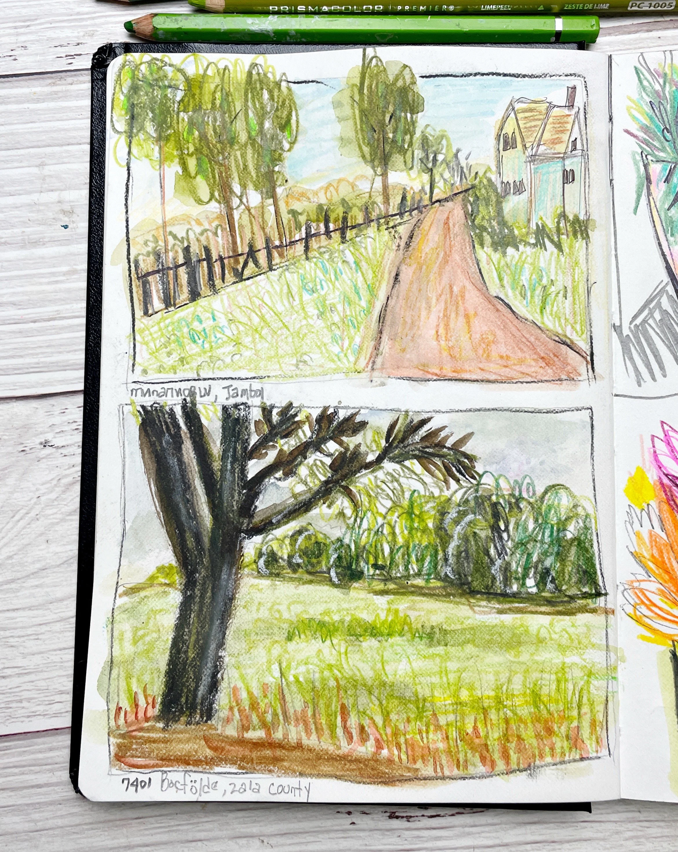 Countryside Landscape Sketchbook Studies with Trees, Fences, and Open Fields