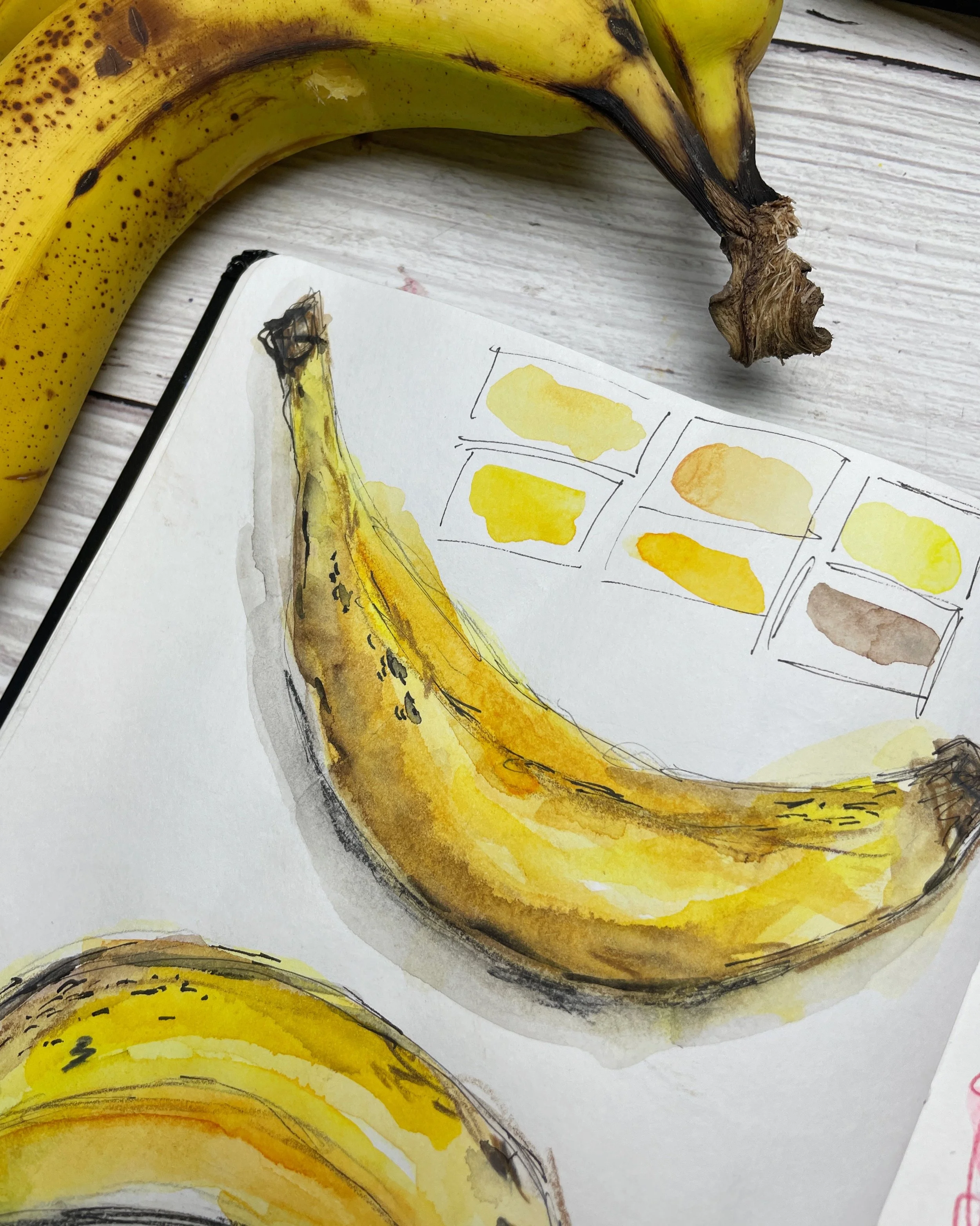 Watercolor Banana Sketchbook Study with Yellow Color Palette Swatches