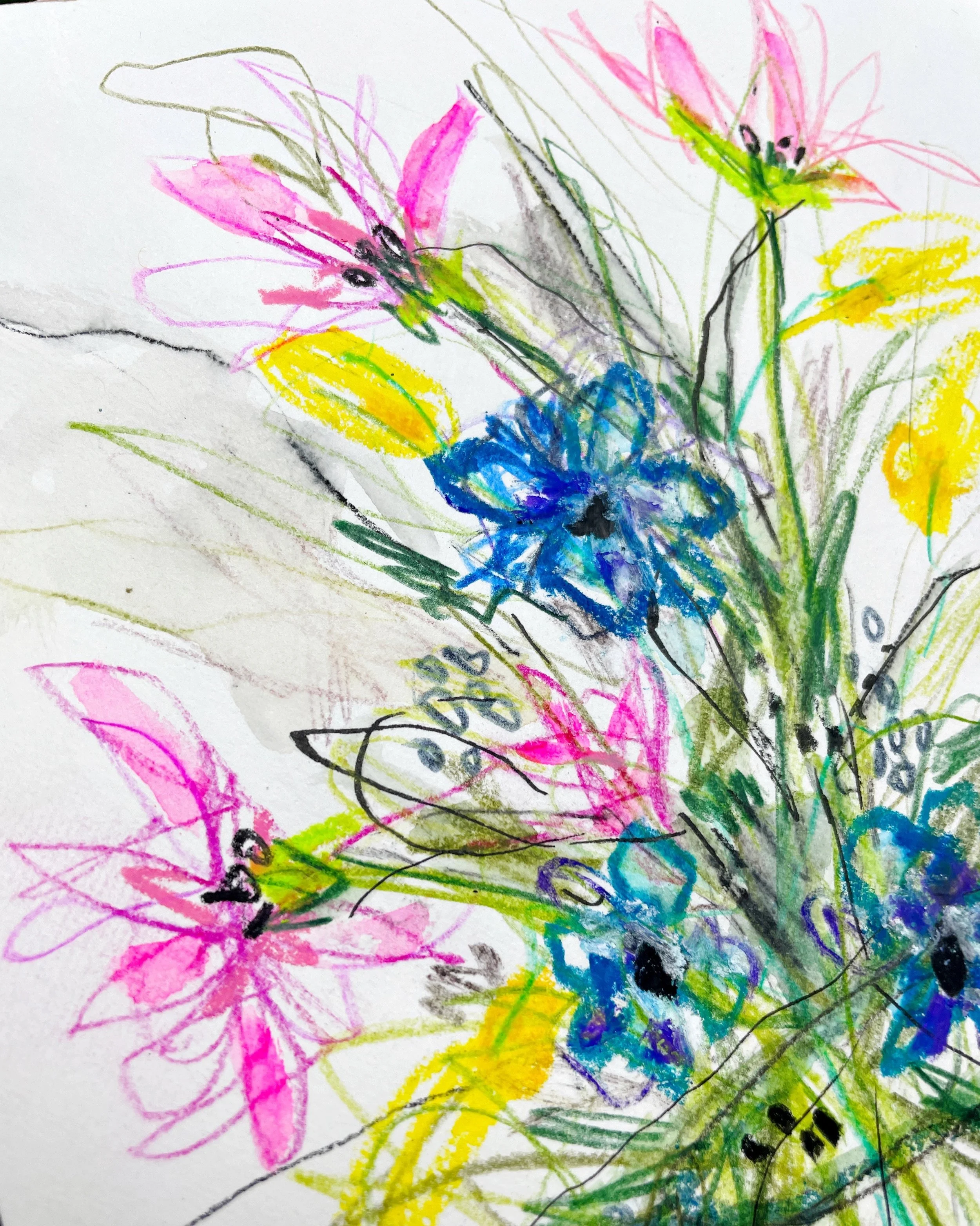 Bright Wildflower Bouquet Sketch with Pink Cosmos and Blue Blossoms