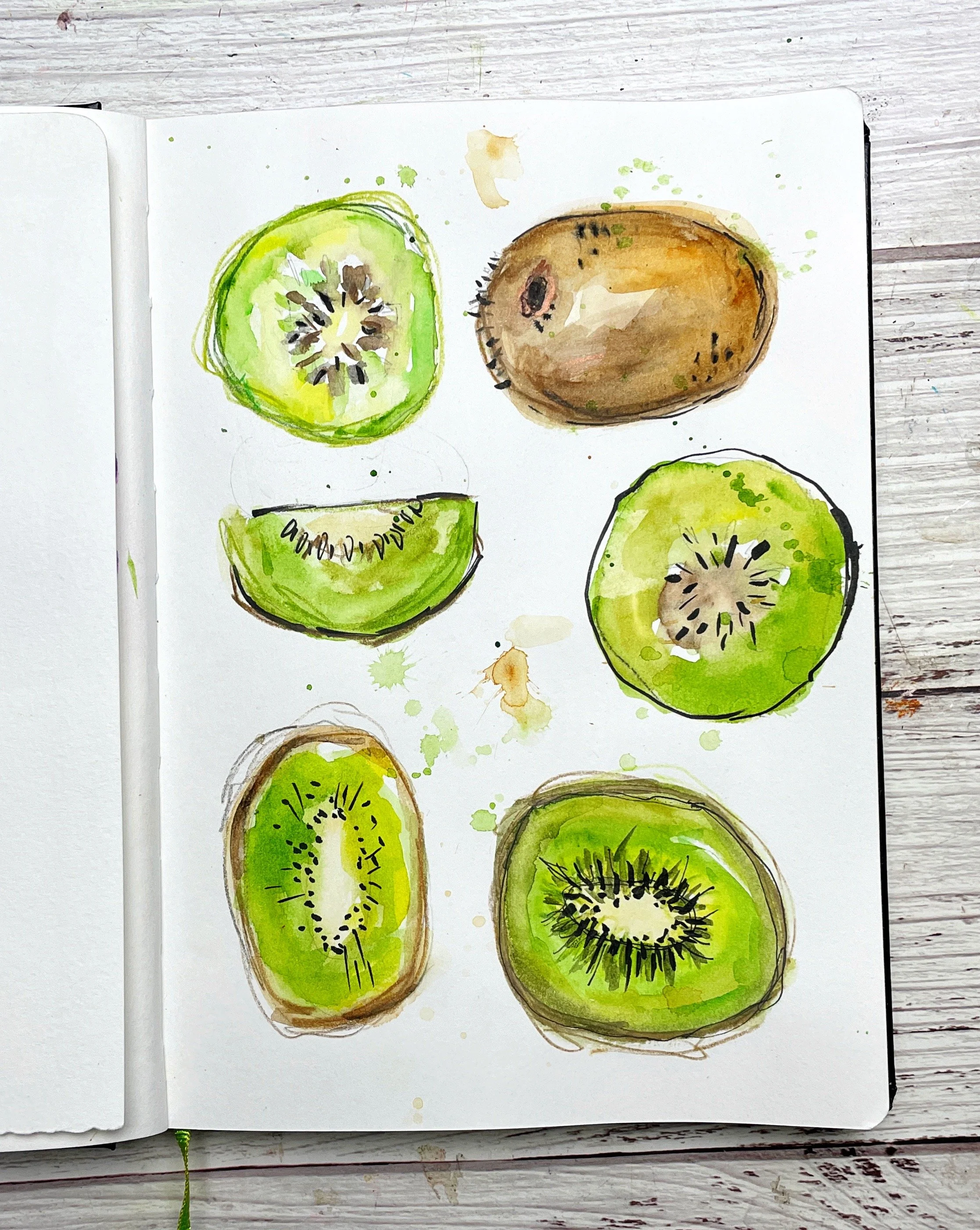 Kiwi Sketchbook Study with Watercolor Layers and Botanical Fruit Details