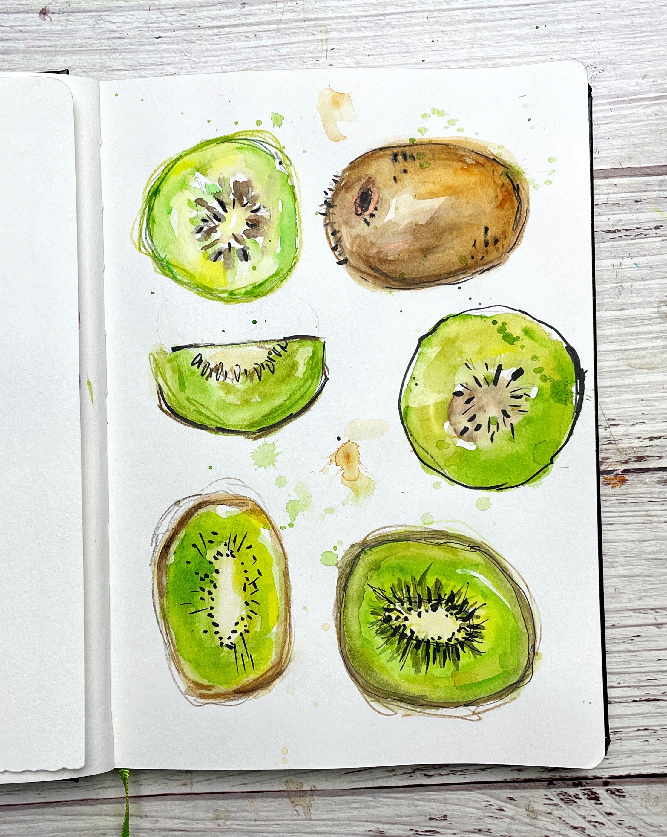 Kiwi Sketchbook Study with Watercolor Layers and Botanical Fruit Details