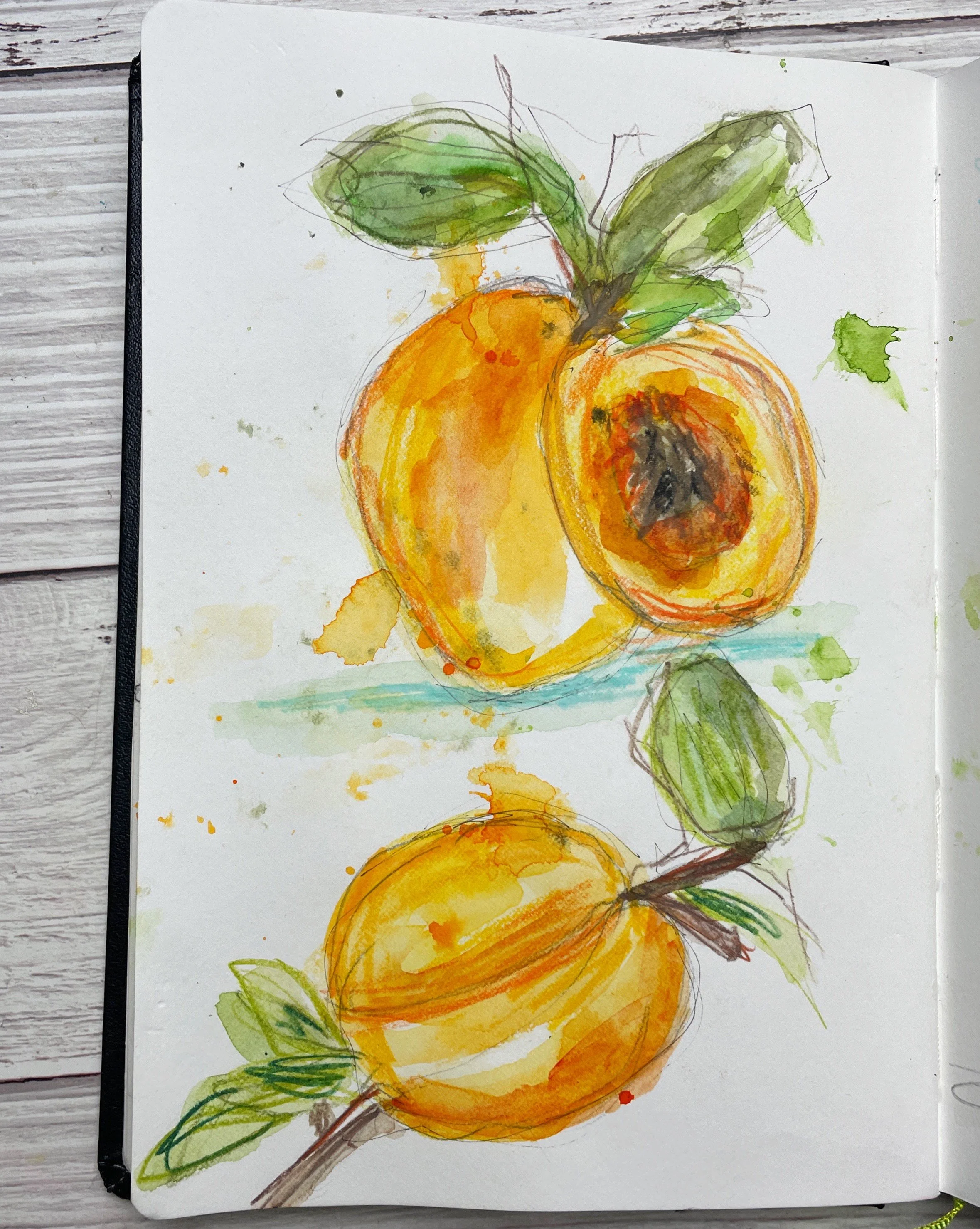 Golden Stone Fruit Sketches with Watercolor Layers and Botanical Details
