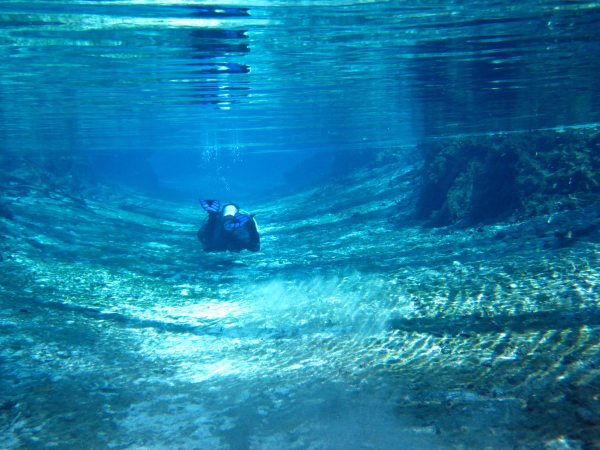 Diving Devil Spring run