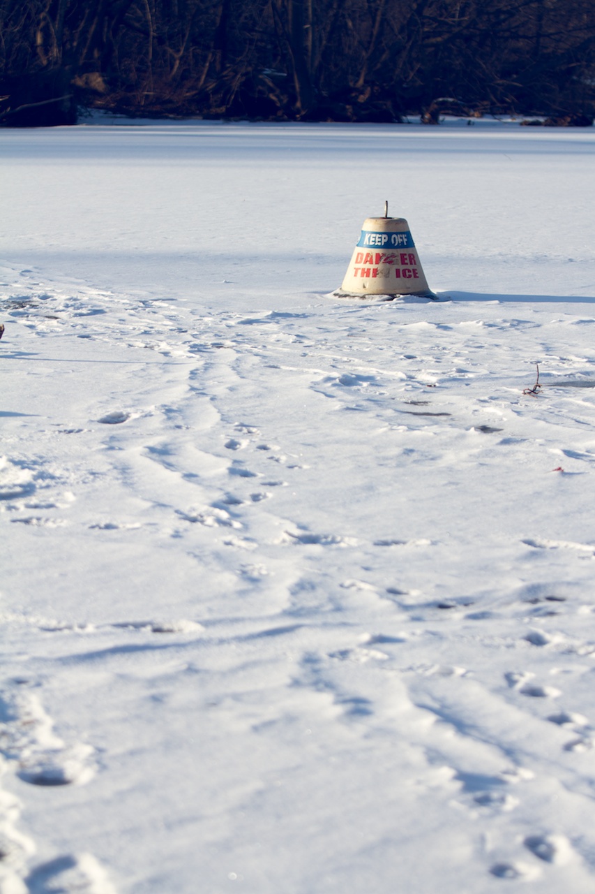 Frozen Lake