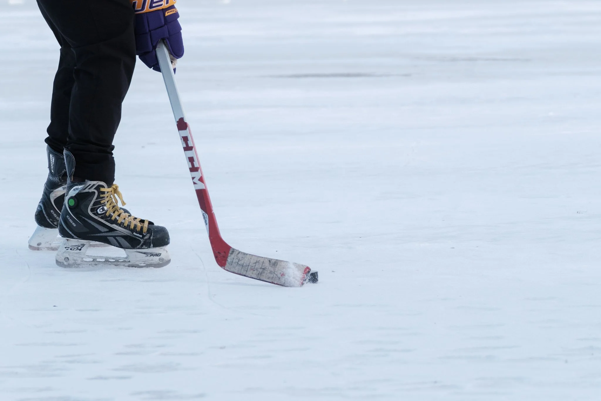 _DSF9135 - 2026-01-31 at 16-00-10.jpg