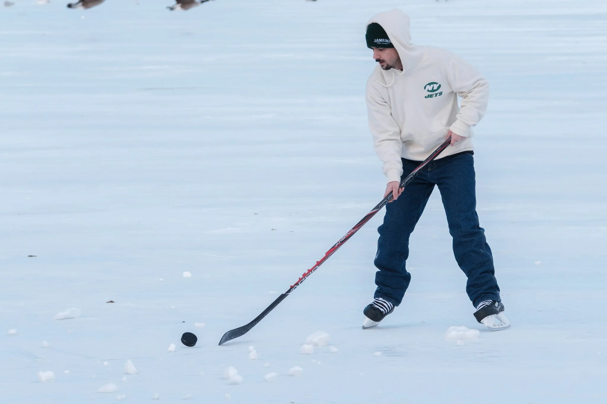 _DSF9152 - 2026-01-31 at 16-04-25.jpg