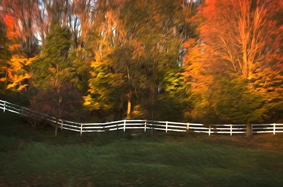 11 1 cooked fence in the autumn trees.jpg