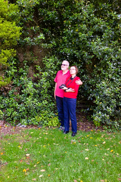 The Spinney, Derbyshire, June 2013