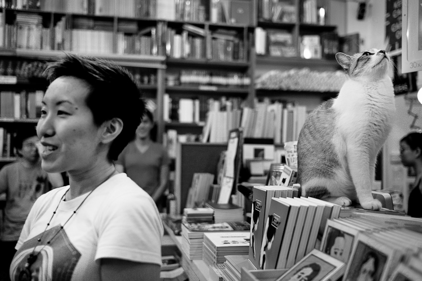  J Y Yang &amp; a cat, From the Belly of the Cat 