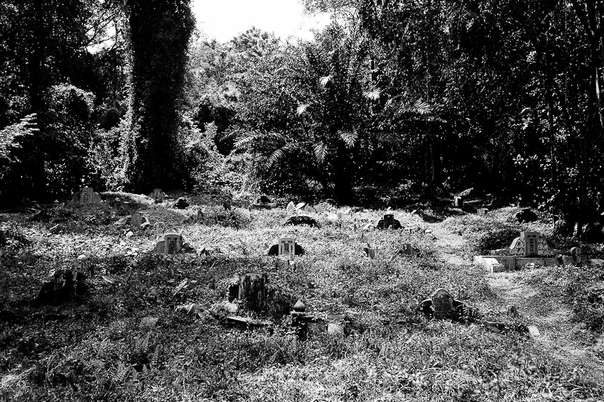  Bukit Brown Cemetery in 'Walking Backward Up Bukit Timah Hill' 