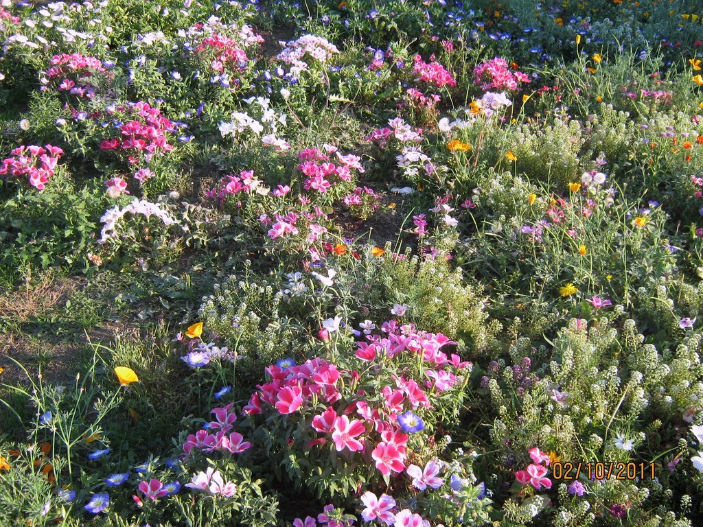 urban meadow downs barnes wallis (close-up).jpg
