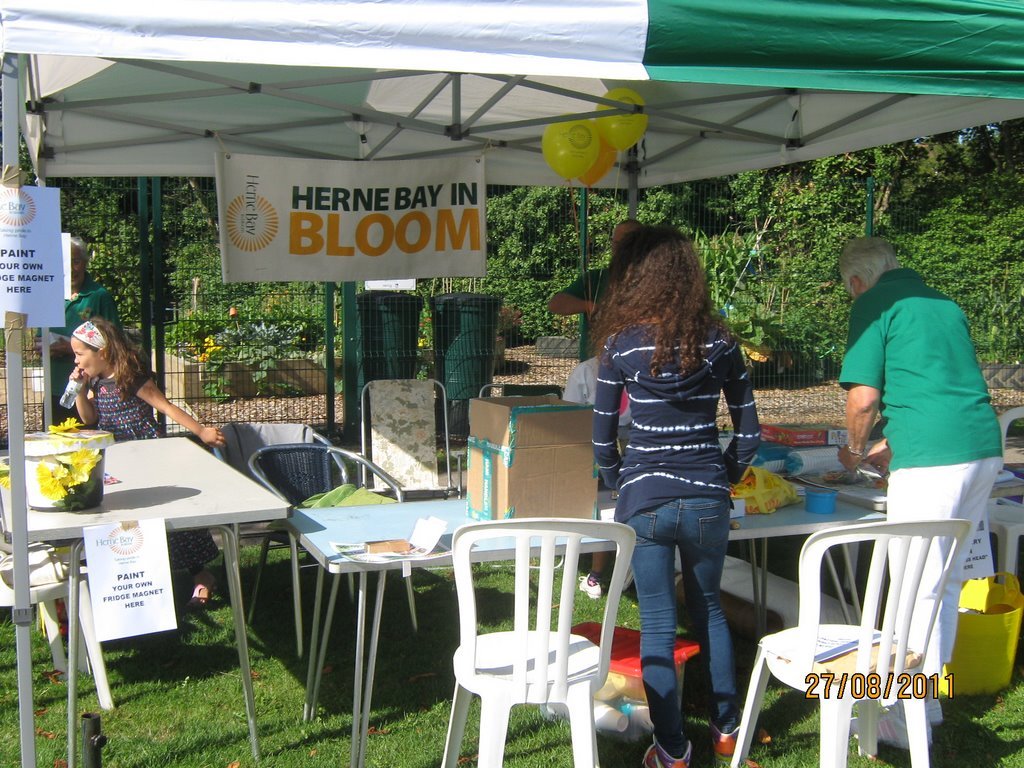 hibib activity stand setting up.jpg