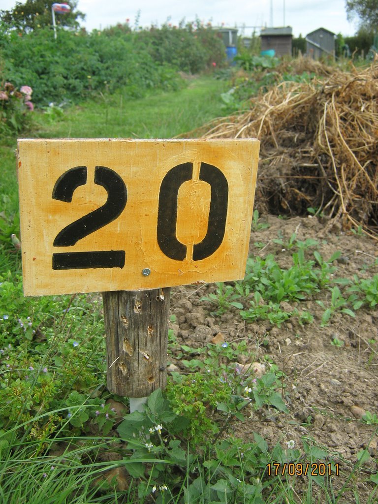 ladybird allotment markers.jpg