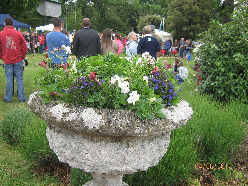 hbib diamond jubilee strode park 4th june 2012.jpg