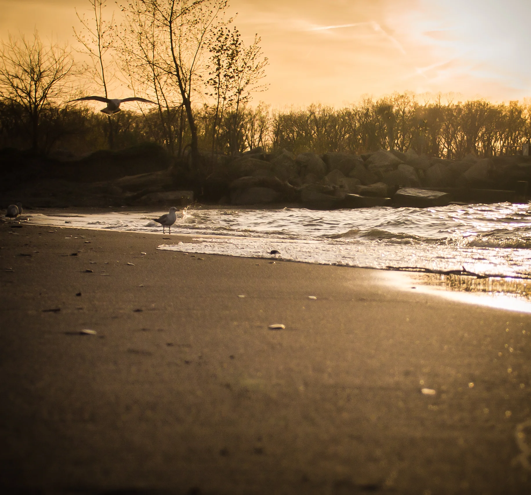 beach--2.jpg