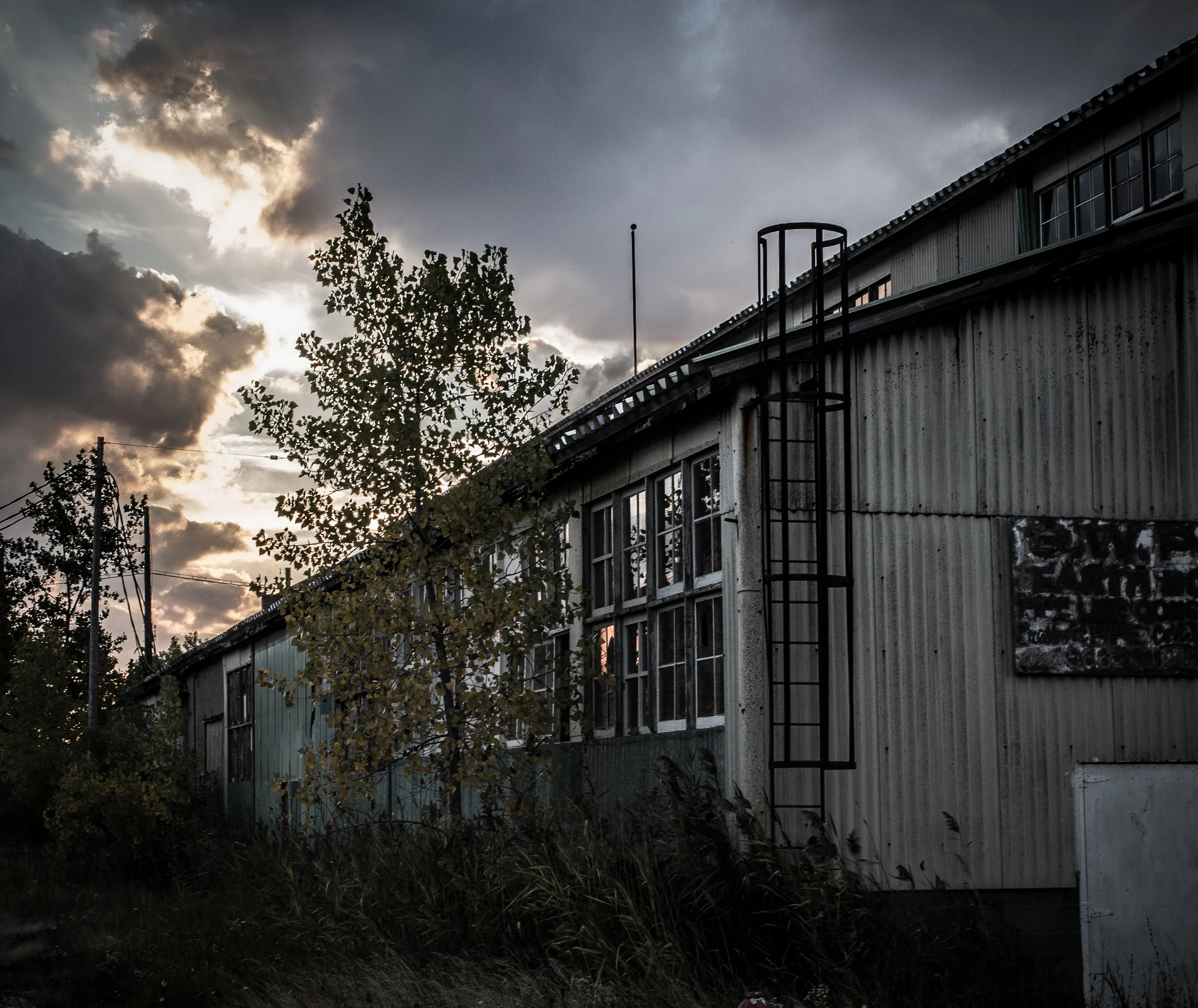 Fairport-3.jpg