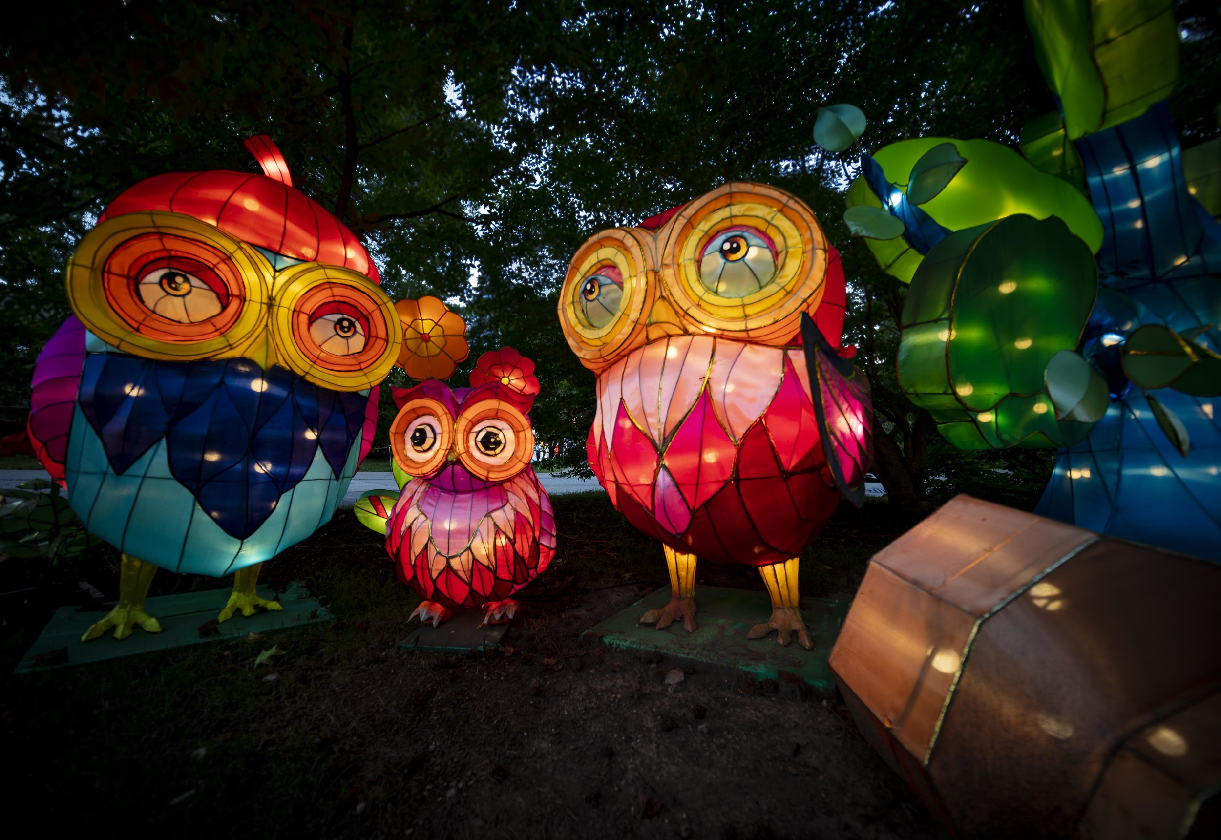 Asian Lanterns18.jpg