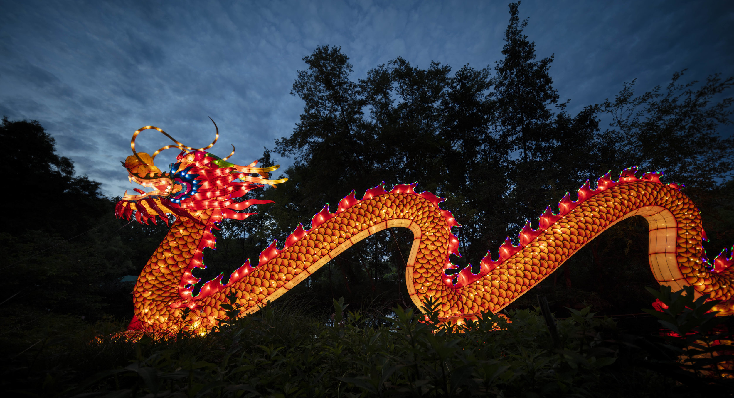 Asian Lanterns24.jpg