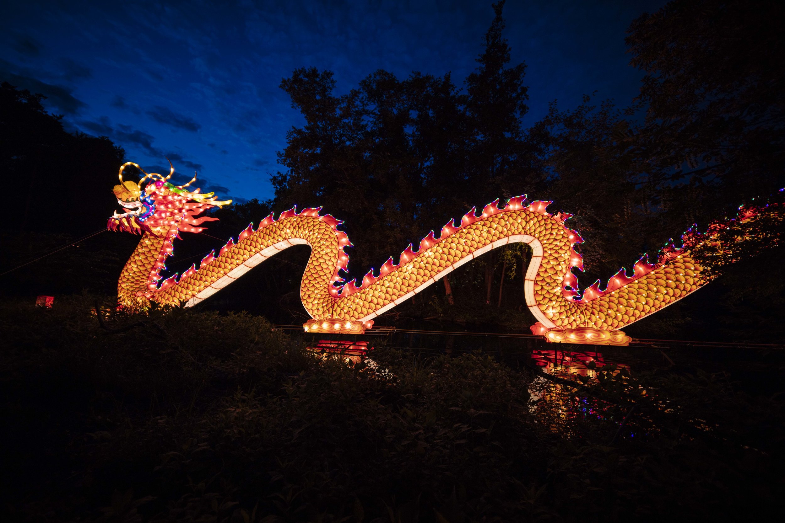 Asian Lanterns29.jpg