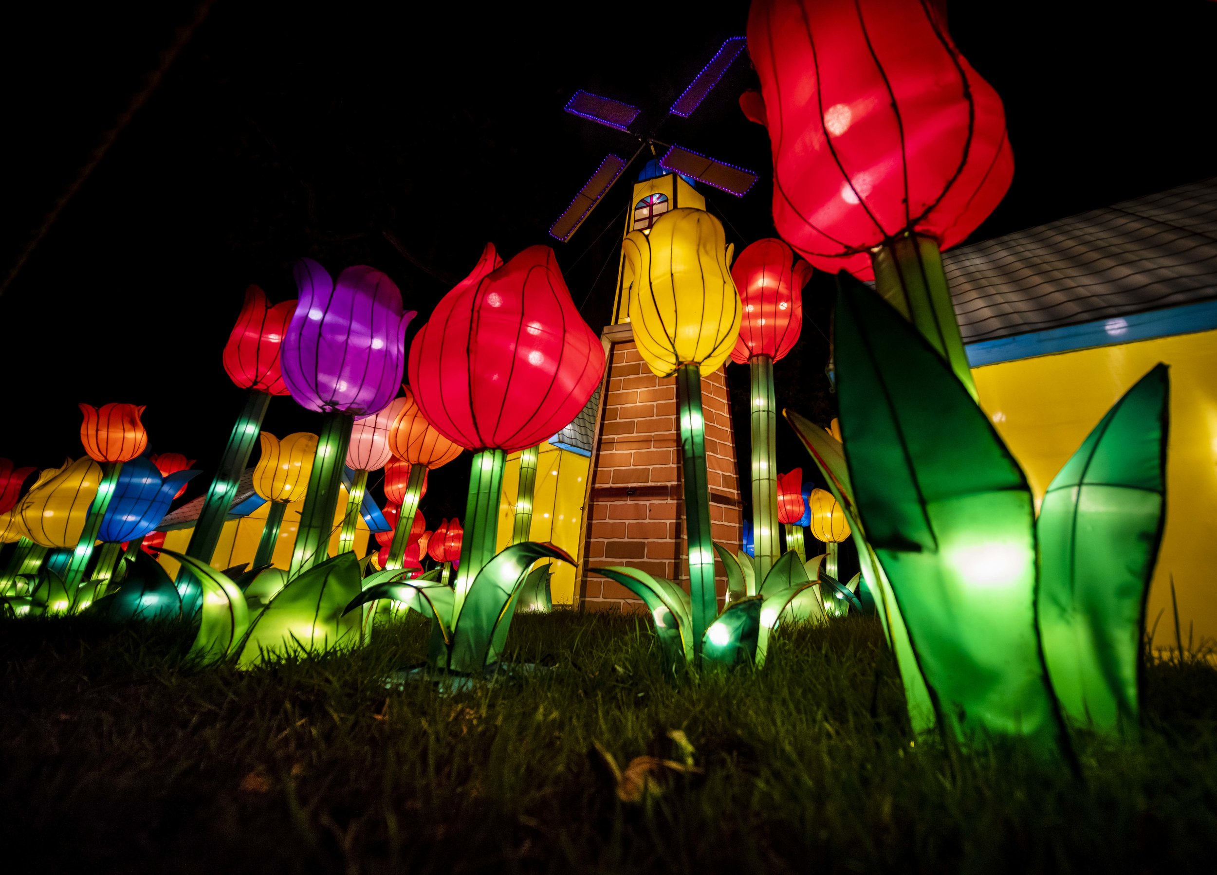 Asian Lanterns35.jpg