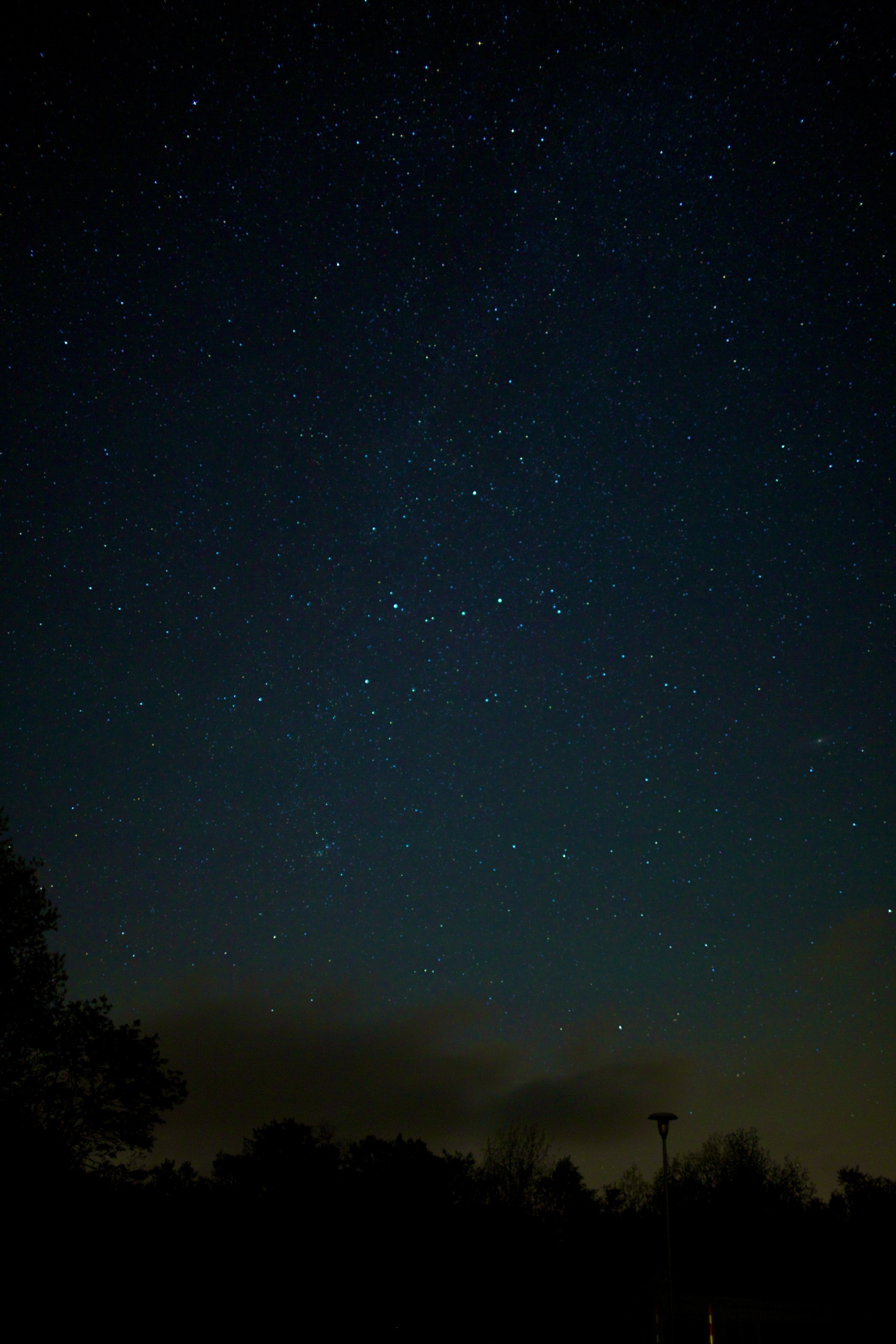9D6C0209.jpg