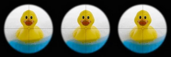 shootaduck.jpg